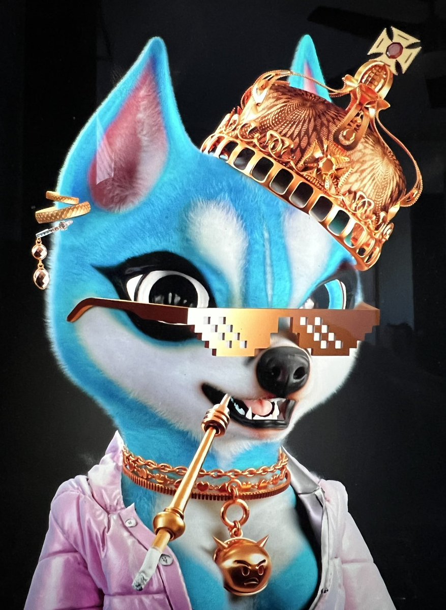 _NoLimitKado_'s tweet photo. @HydroNFTS Take a look at @Executivehusky1 they just released females with breeding capabilities, will soon be in the metaverse. There’s also utilities such as mansion and yacht parties and networking events! This project is going to go crazy you don’t wanna miss out💯🚀 #huskynation https://t.co/waVrrYIftK