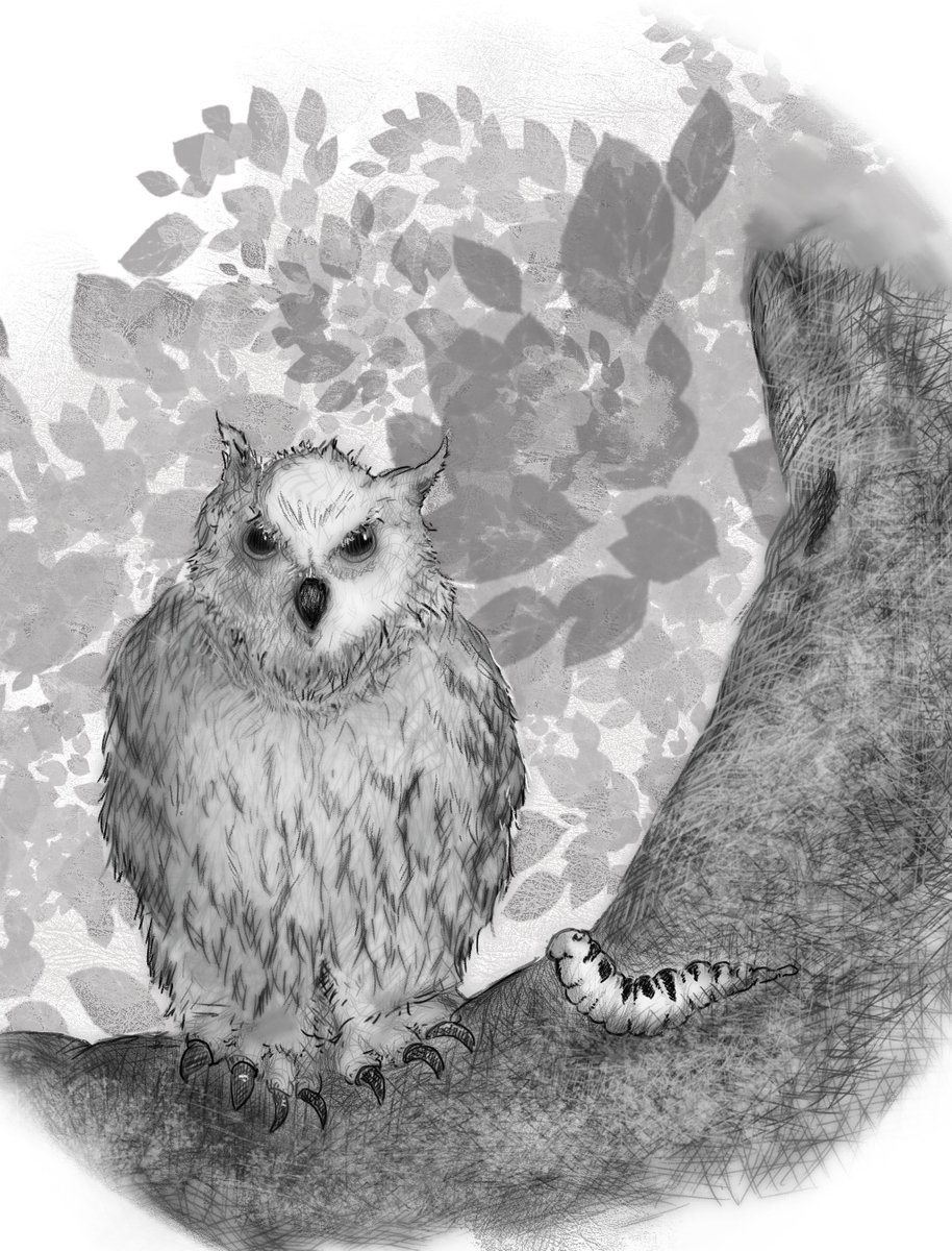 deborahlambson's tweet photo. I've had so much fun with the #characterdesign of Milly and Owl, a sweet #childrensbook #kidlit #illustration out soon! Spring is soon, isn't it? https://t.co/AygUntofj8