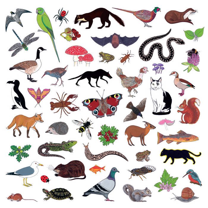 Sam Wieland tweet media