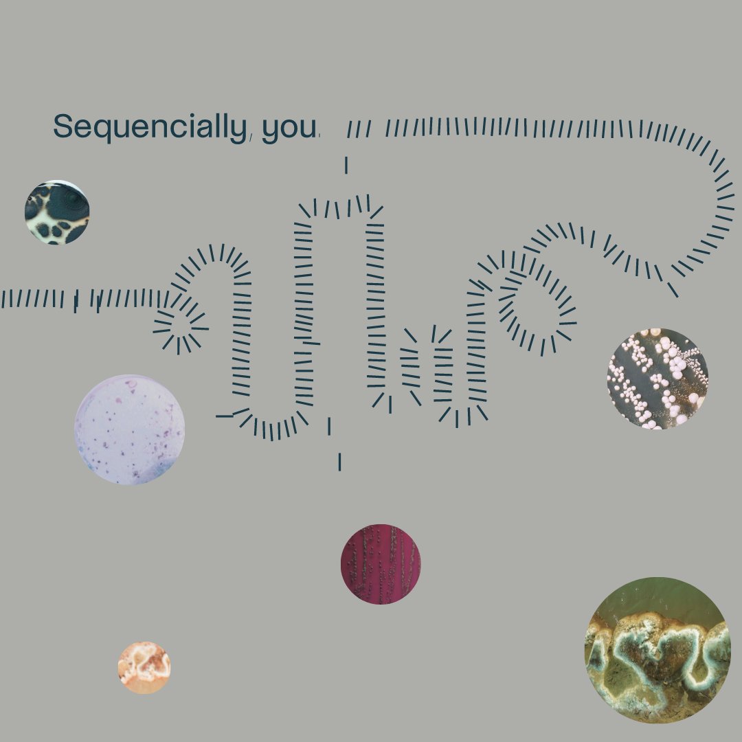 Sequential_Skin's tweet image. Our Sequential Skin Kit offers you a full skin report that helps you to protect and maintain a healthy skin microbiome. 

It all starts with you.✨

#skincare #skinmicrobiome #sequentialskin #sequentiallyyou #skinhealth #skinglow #skingoals