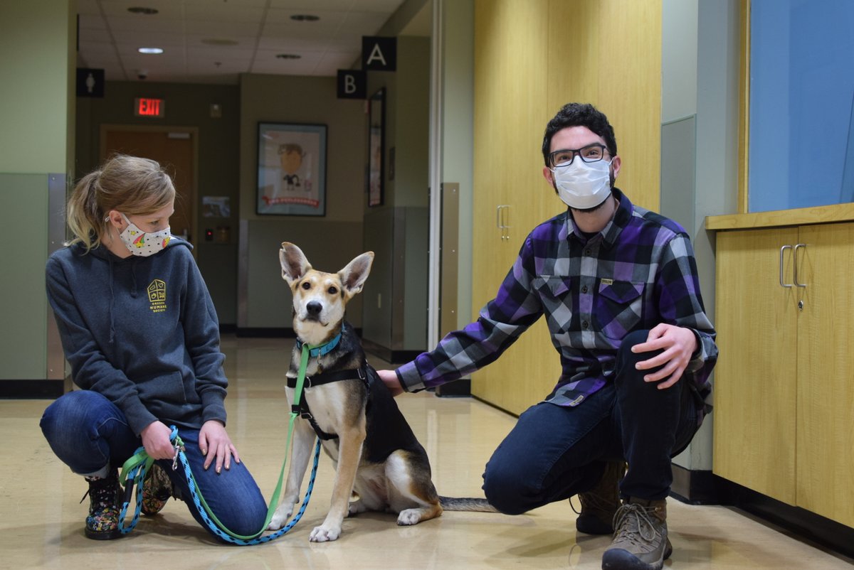 OregonHumane's tweet photo. Peanut is originally from Afghanistan and was brought to the US by a member of the military. Peanut was ultimately transferred to OHS and is now living the good live with her adopter Nick who calls her a "tremendous addition to my life."❤️#feelgoodfriday https://t.co/OiGZRACKfJ