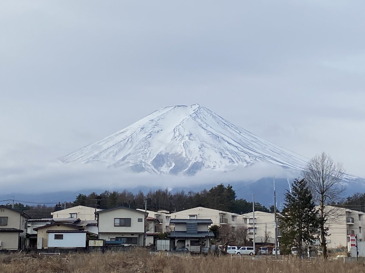 1月29日(土) おはようございます。 市内からです。 薄曇りですが、富士山見えています。 . 真冬の寒さが続きます、 暖かくしてお過ごしください𓂃𓍰ꢀ