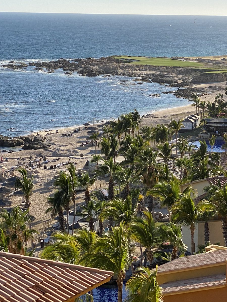 Philip Hicks tweet media