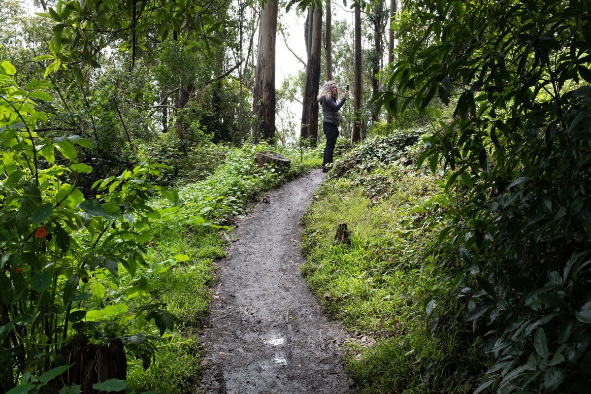 From the streets of Soma to the trails of Mt Sutro <a href="/SFParksAlliance/">SF Parks Alliance</a> is working closely with communities to expand + evolve public space in SF

Seeking a passionate team member to join us as Associate Director of Stewardship. Application closes next week.

recruiting.paylocity.com/Recruiting/Job…