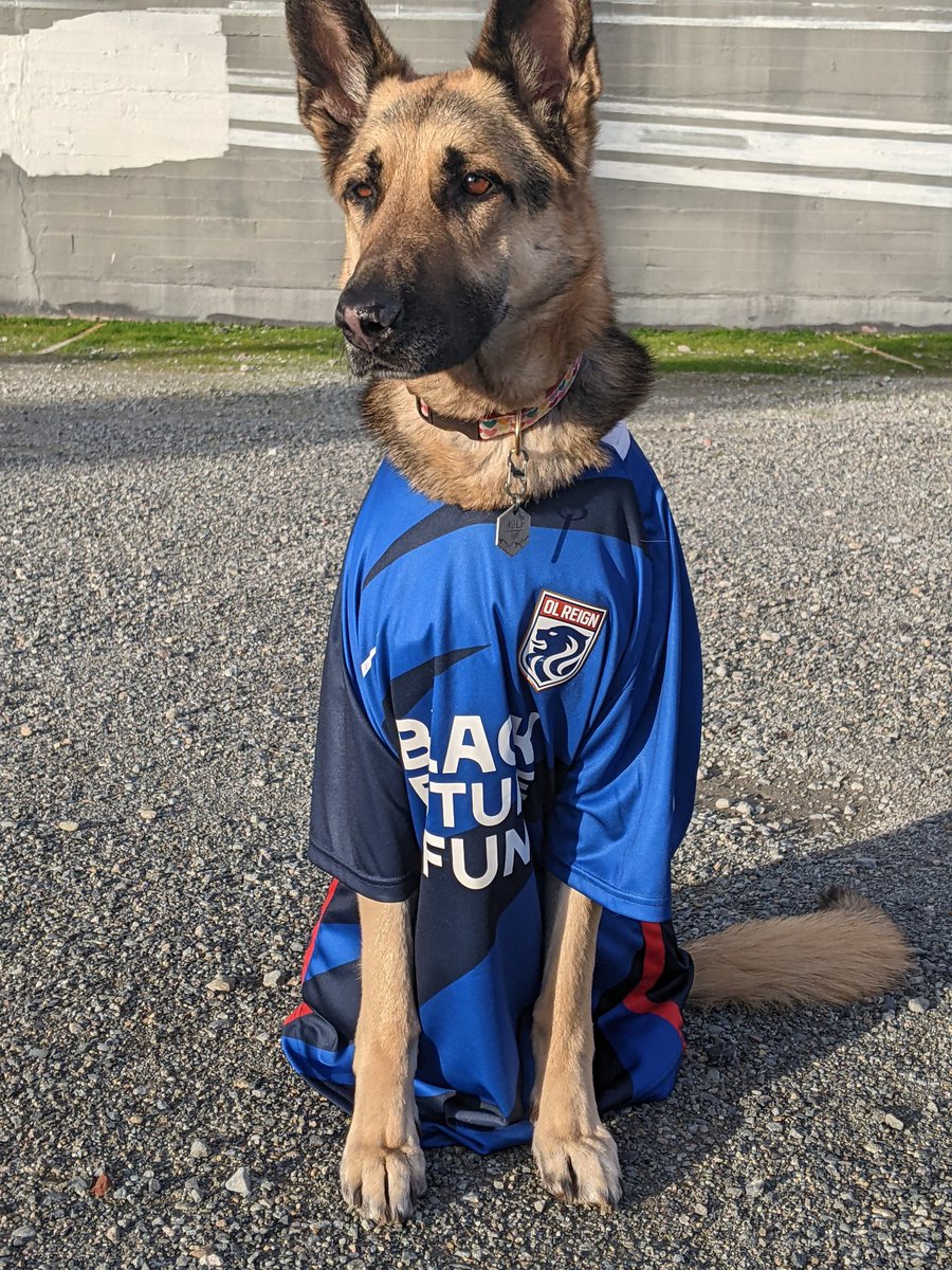 beccahoma's tweet photo. Wolf says buy your tickets and LFG! #olreignlumen @OLReign #sheplayshere #theyplayhere https://t.co/Q0yqOn5F7m