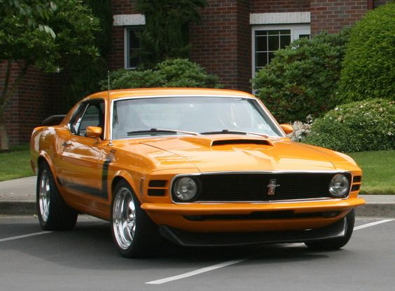 RandyDa25687858's tweet photo. https://t.co/oq12Ebk9ko
https://t.co/Q997F0le7K
1970 Ford Mustang Pictures: See 516 pics for 1970 Ford Mustang. Browse interior and exterior photos for 1970 Ford Mustang.
#FrontEndFriday
#FastCarFriday
#ForTruckersFriday
:..M..: 🧐 https://t.co/V99OyTRabX
