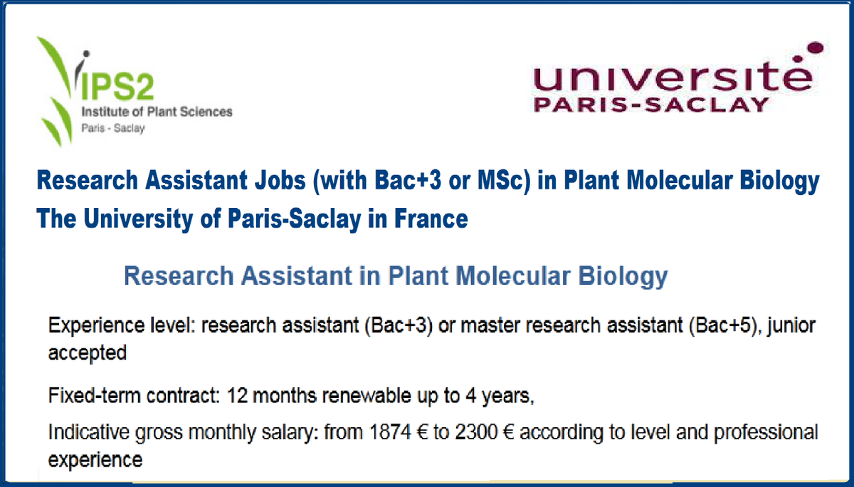 agristok's tweet photo. 📌 Research Assistant Jobs (with Bac+3 or MSc) in Plant Molecular Biology🌱🧬 at the University of Paris-Saclay in France🇫🇷 ... Please retweet and spread the word! For details visit the link below👉 https://t.co/Vtx9bWk4NH https://t.co/5fqgiN5M20