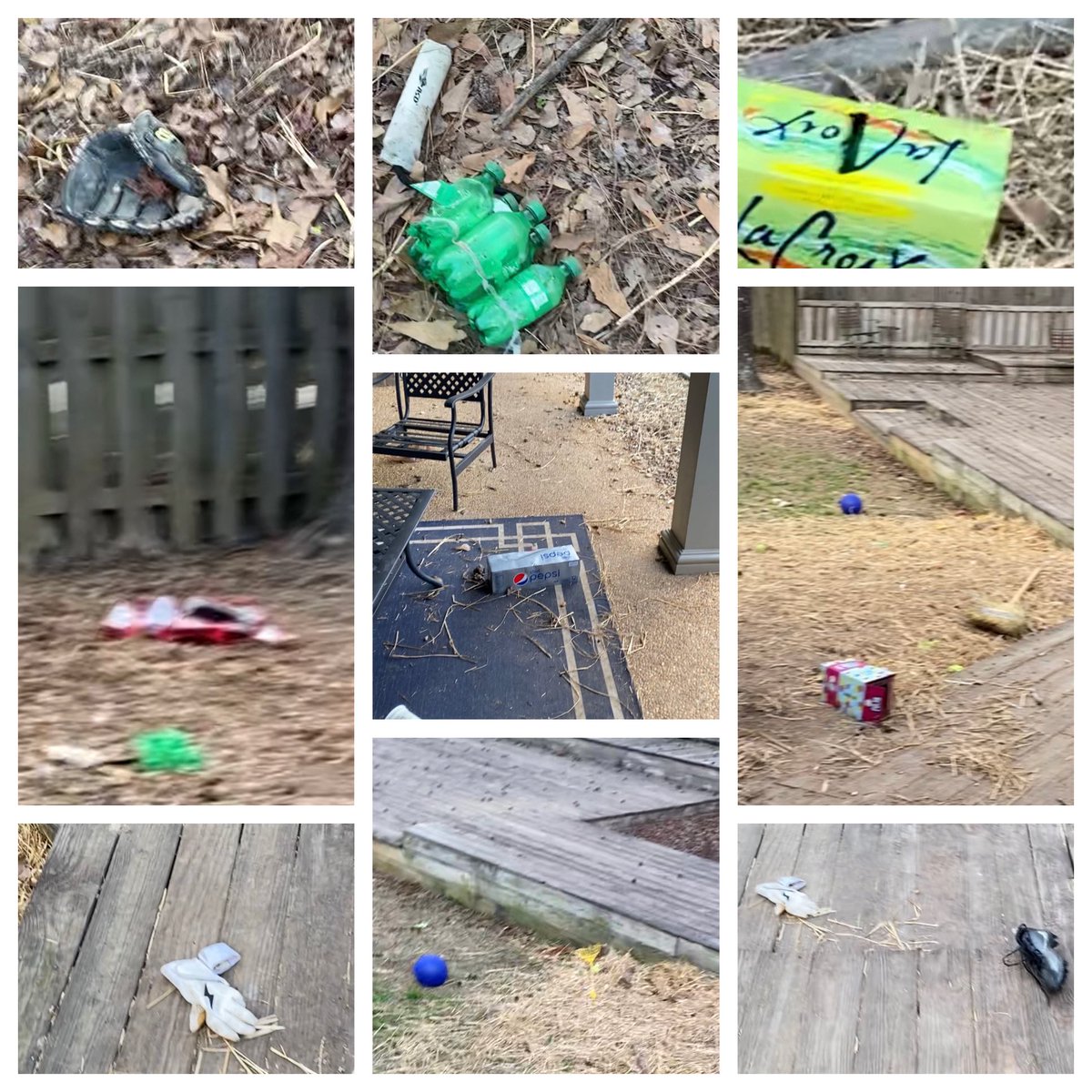 therealdld's tweet photo. Having fully recovered from his audition to join @TheGoldenRatio4 #teamforeignobject as a non-Golden member, Wilson P Dunn spent his Friday emptying out the garage. He focused on recycling, carbonated beverages and expensive baseball gear. Lordt. https://t.co/Zk7uzJPSQy