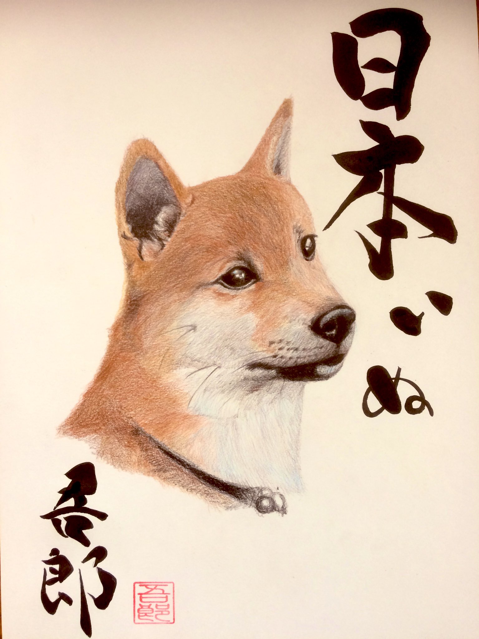 大阪吾郎アートスタジオ 初代画家吾郎 日本犬イラスト柴犬完成です コントラストを大切にします 柴犬イラスト 赤柴 イラスト 日本犬イラスト T Co Vf5tktzrhr Twitter