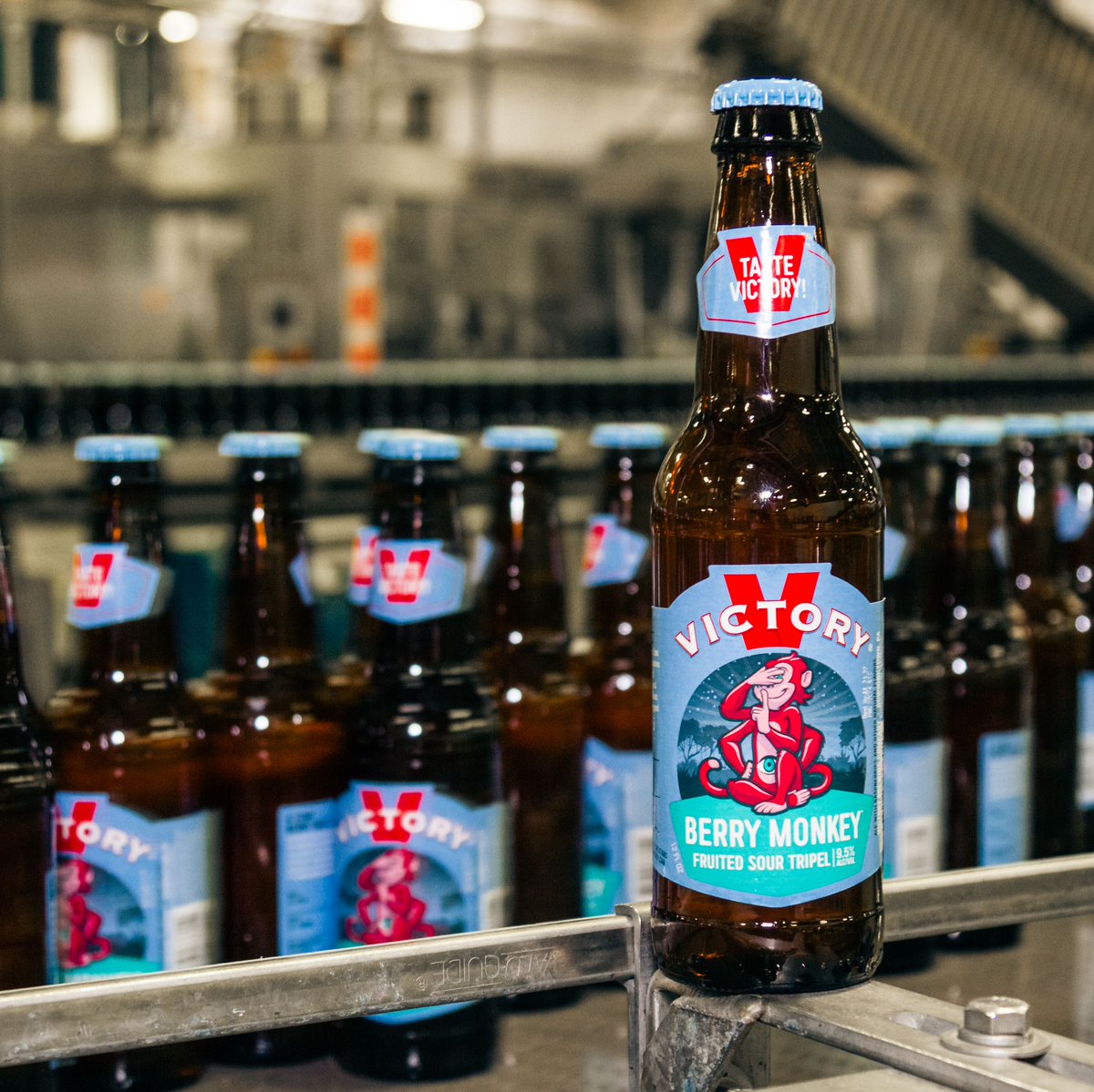 VictoryBeer's tweet photo. NEW BEER ALERT! We’re pumped to announce BERRY MONKEY. A 9.5% ABV Fruited Sour Tripel available year-round, just like your other Monkey favorites. We loaded this beer up with real raspberries for just the right balance of sweetness & tang. #TasteVictory #BerryMonkey https://t.co/bkHPem6zaH