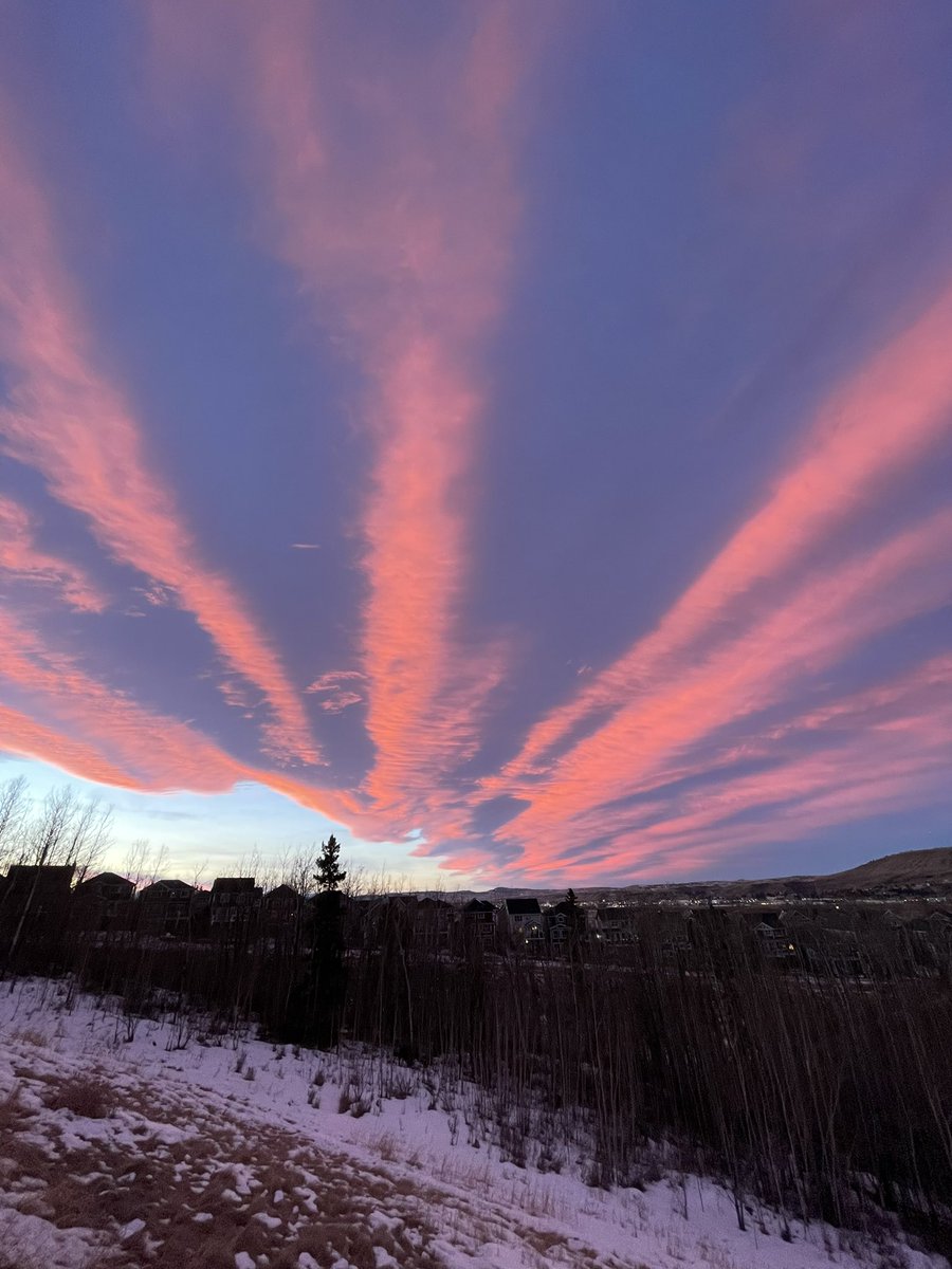 Derek Wills tweet media