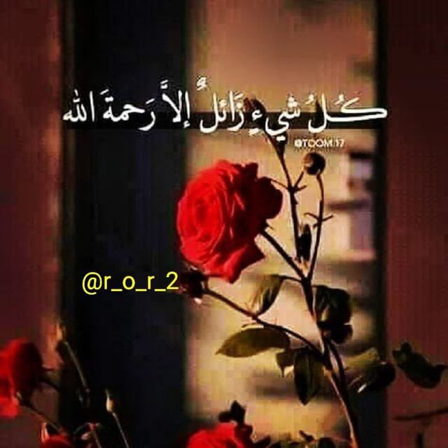 Dr.Hashemy tweet media