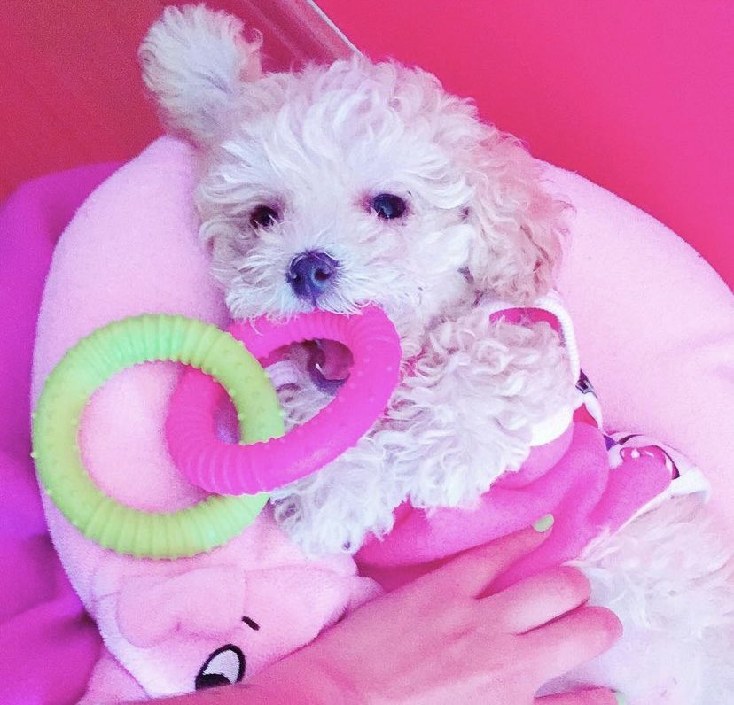 MAR✨♥★☆♡ tweet media