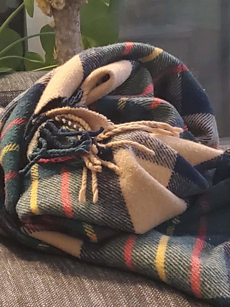 MaxZero's tweet image. When the blanket looks like it's about to attack you😭