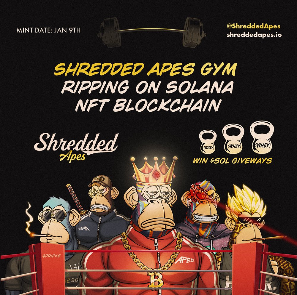 prifke's tweet image. @ShreddedApes is bridging the gap between fitness and utility NFT - join the gym while it’s affordable #SAGC #Solstaking #SolanaNFTs  #StakingRewards