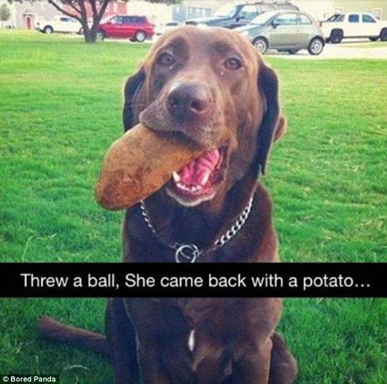 WholesomeMeme's tweet photo. https://t.co/EmkSKxHoS0