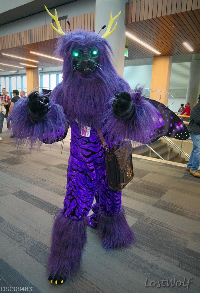 LostWolf321's tweet photo. It's @Draphilius @furcon #FC2016 https://t.co/OkpDxstndk