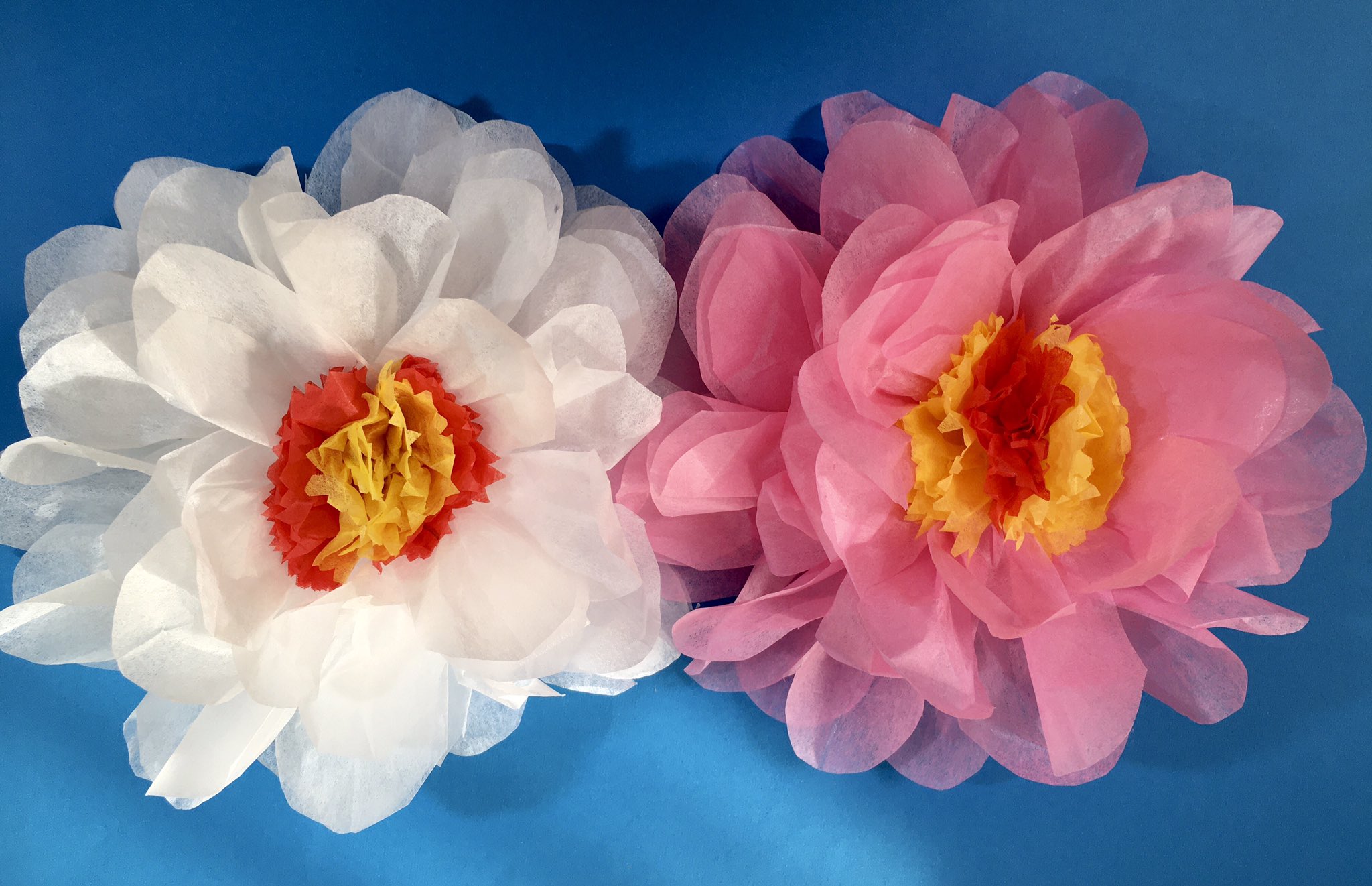 スローなのんちゃん Di Twitter お花紙で ボタンの花 これから卒業 入学のシーズンでお花紙が活躍します 綺麗だけど手がかかったわ Tsukucafe お花紙 ボタンの花 ペーパークラフト T Co Ohgke8gge4 Twitter スローなのんちゃん Di Twitter お花紙で ボタンの花 これから卒業 入学のシーズンでお花紙が活躍します 綺麗だけど手がかかったわ Tsukucafe お花紙 ボタンの花 ペーパークラフト T Co Ohgke8gge4 Twitter