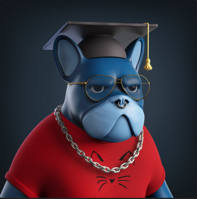 DJm0de's tweet photo. Congrats to my Frenchie who just graduated from Dogiversity! @TheFrenchiesNFT 🎓
Believe me that's his happy face 😅 https://t.co/mDMOweXJgD