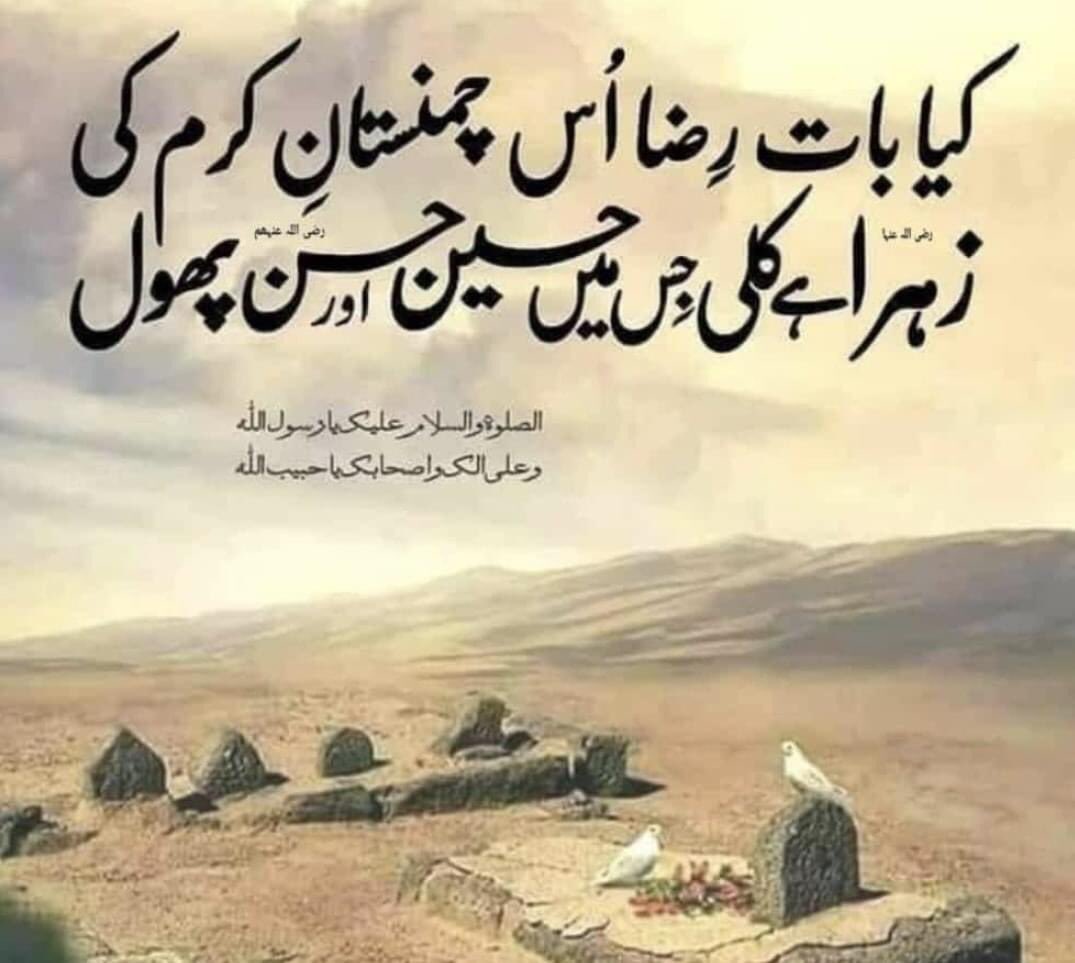 Safeez Raza tweet media