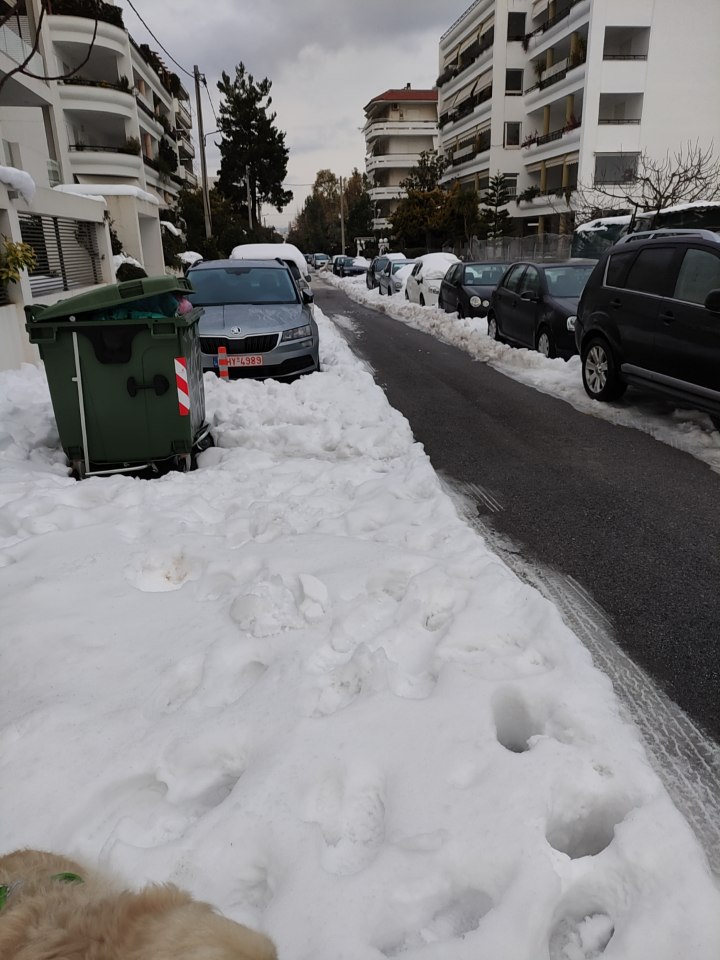 tinathemelis's tweet photo. Day 6, #Athens suburb #Vrilissia still buried in tons of snow. In anticipation of new storm 🙄
Dog walk mission impossible.
#LostCase
#Greece
#StateFail https://t.co/QIsbvpT4NB