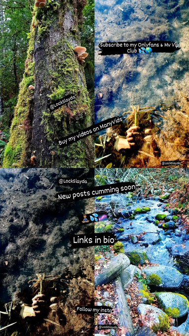 🌍 SW THREAD 🌍   🌴 Drop your pics/links below 🌴   💦 Buyers sub/tip your favs 💦   🌌 Like+RT for exposure<a href="/tag/love"class="tags"><span>#love</span></a><a href="/tag/fitnessmodel"class="tags"><span>#fitnessmodel</span></a><a href="/tag/model"class="tags"><span>#model</span></a><a href="/tag/fitness"class="tags"><span>#fitness</span></a><a href="/tag/bdsm"class="tags"><span>#bdsm</span></a><a href="/tag/follow"class="tags"><span>#follow</span></a>