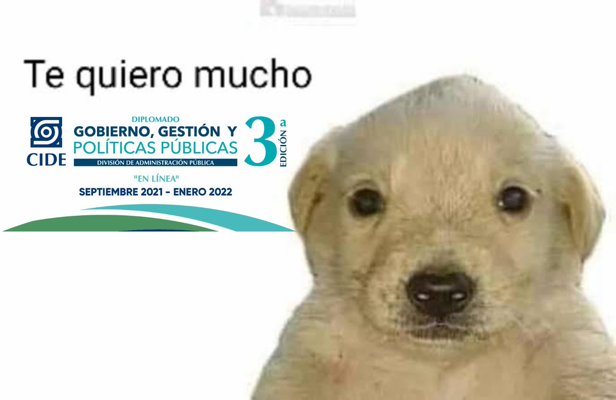 H_Romero10's tweet photo. Hoy concluimos el Diplomado en Gobierno, Gestión y Políticas Públicas en el @CIDE_MX @CIDE_DAP

El nivel de los profesores es de excelencia, nuestro país necesita más instituciones así #OrgulloCIDE

Quiero agradecerles por compartir su conocimiento y experiencia 

#DGGPP

(1/2) https://t.co/jw7hgrsuOD