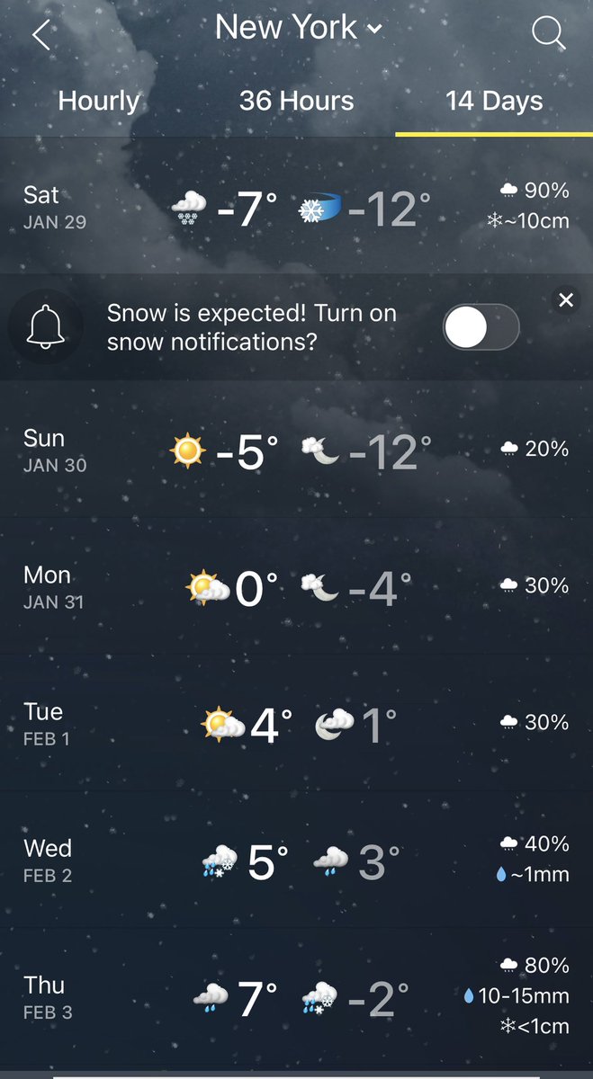 Peter Raimondo tweet media