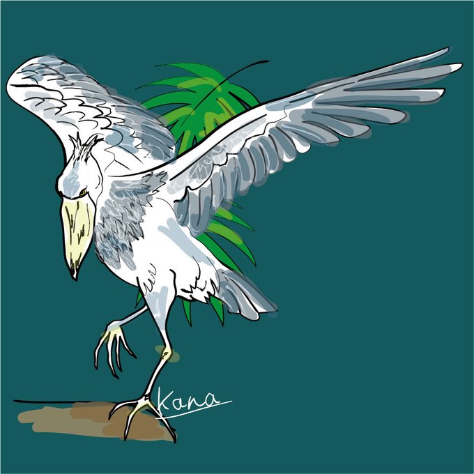 ハシビロコウのtwitterイラスト検索結果 古い順