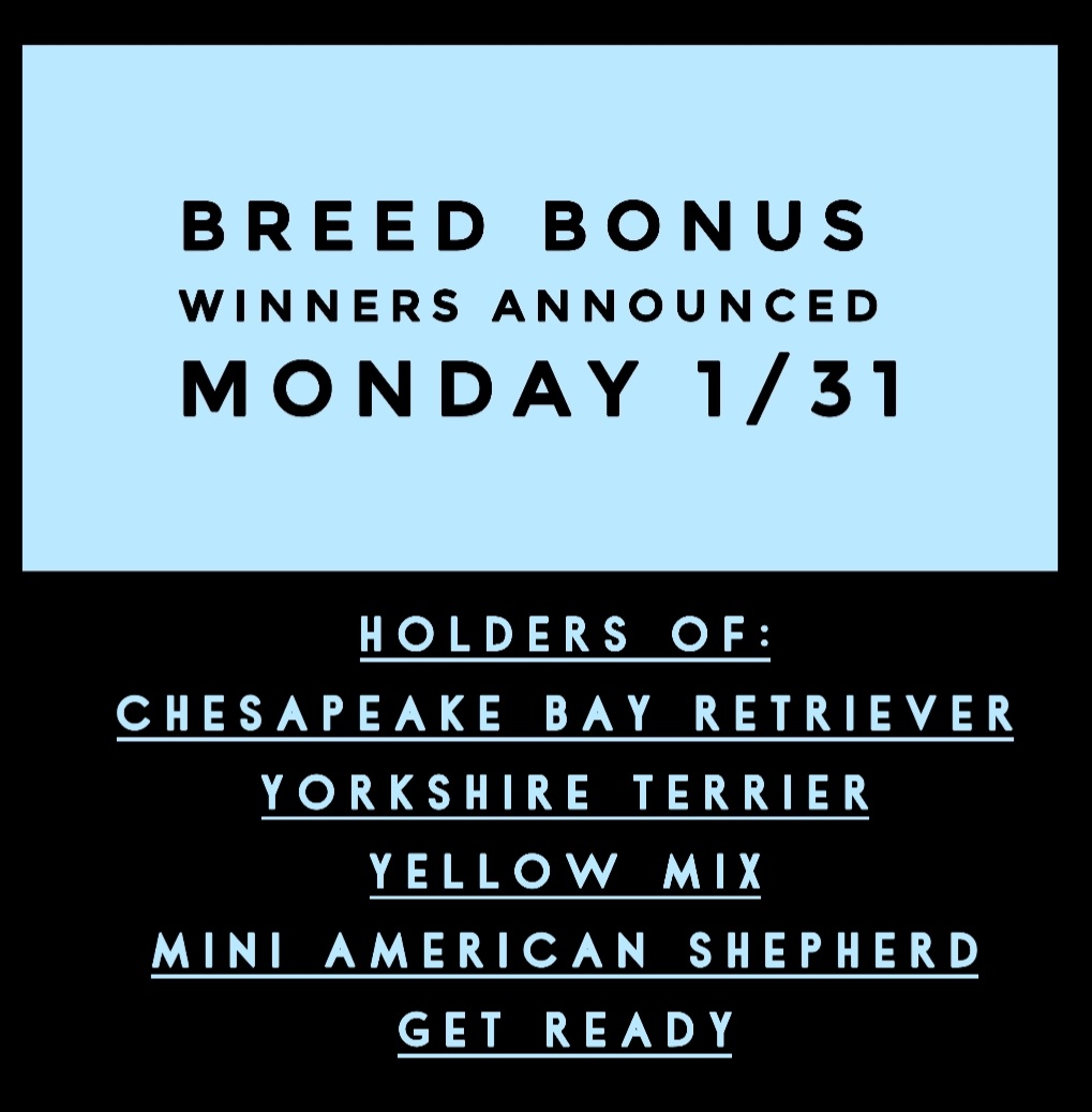 𝕾𝖙𝖗𝖊𝖊𝖙 𝕯𝖆𝖜𝖌𝖘 tweet media