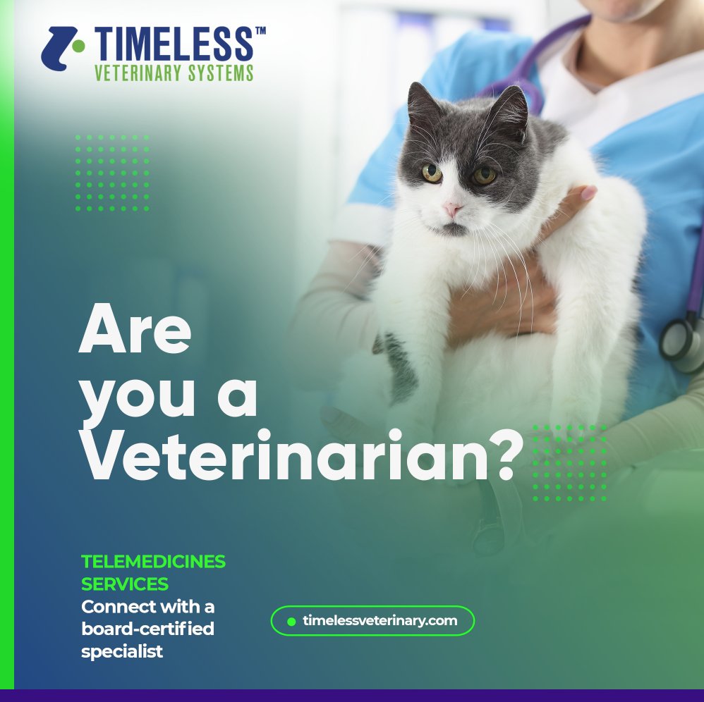 Timeless Veterinary tweet media