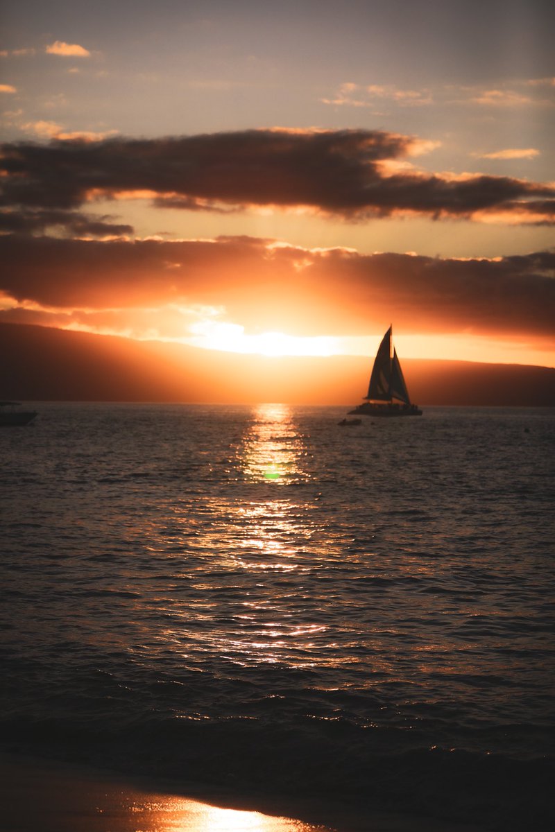 Michael Muser (@mikemuser) on Twitter photo 