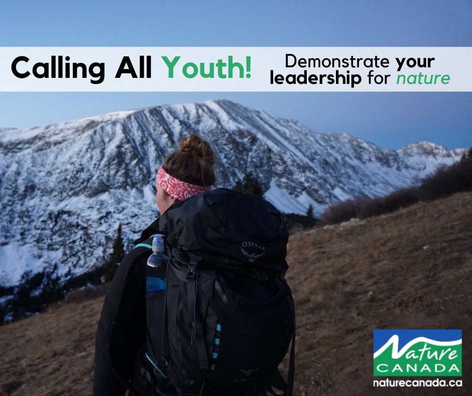 NatureCanada's tweet photo. Apply to receive a bursary/grant to develop and implement your nature-based project to engage young Canadians to discover and protect our natural world.

https://t.co/63vYqtHGHi https://t.co/W1TXYDMIUP