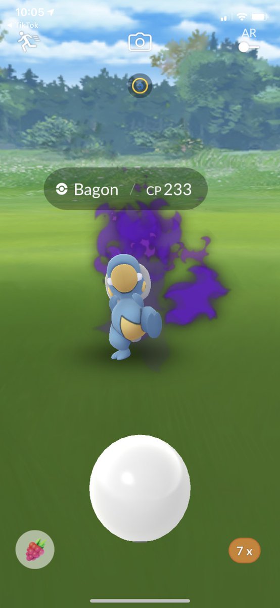 lilbaobb's tweet photo. I swear Arlo always has the best starter #pokemongo https://t.co/ExUHD29FIk