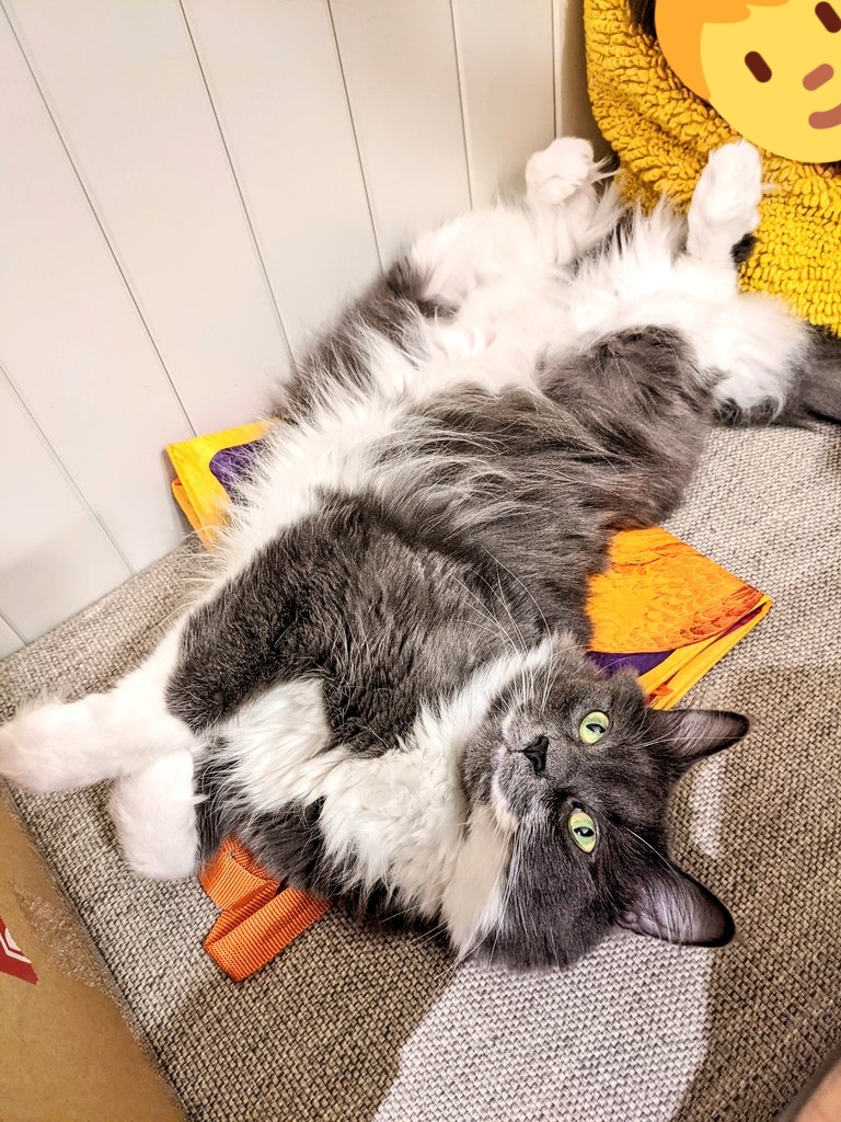 matttwood's tweet photo. Floooooof https://t.co/RdM3rWEQvp