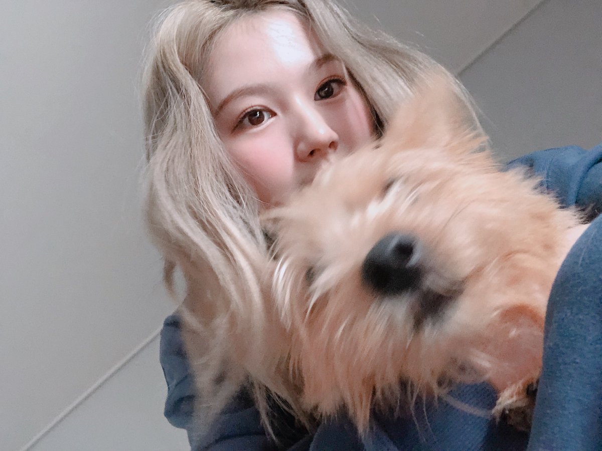 myheartsana's tweet photo. sana with boo...adorable🥺
#SANA #사나 #サナ https://t.co/6kxdDr3Uyz