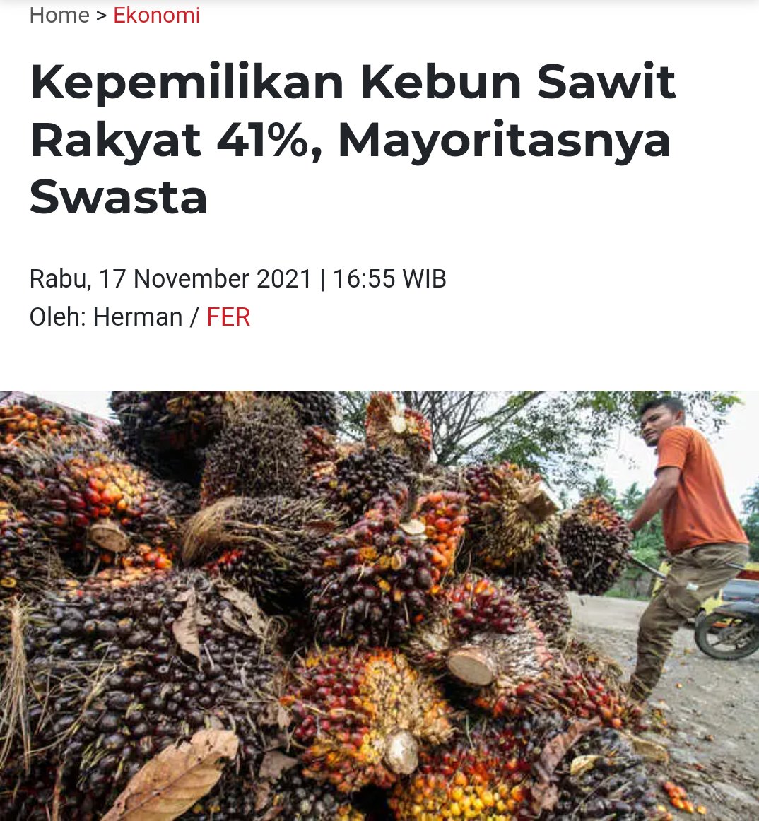 Yang nanggung penurunan harga minyak goreng hanya petani. Swasta tetap ekspor.. Untuk besar...