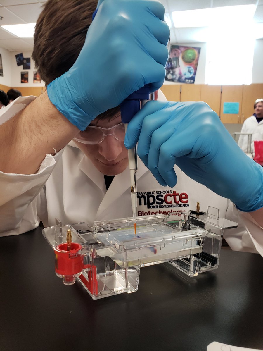 I always love the intense focus students have when loading gels.