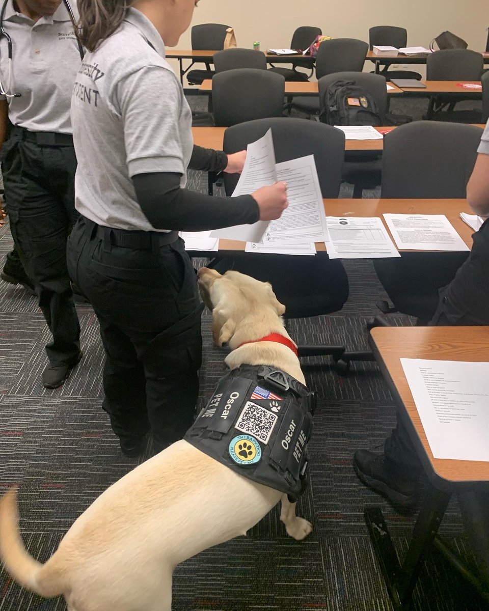 OscarTherapyDog's tweet photo. Oscar waiting for his friends tonight and then making sure they only took one copy each of the paperwork 😄🐾 #dogs #dogsoftwitter #teachingassistant #besthelper #emt #firstresponder https://t.co/2Kqu73GuH6