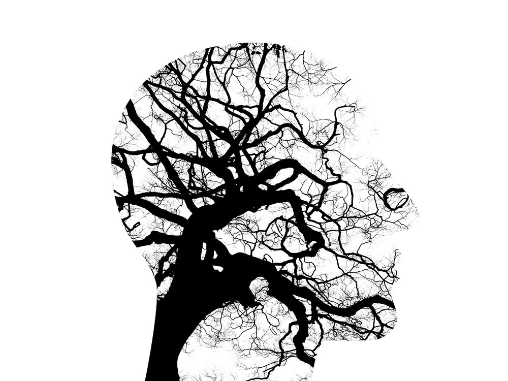 avstrauss's tweet photo. Hello Twitterverse!

Do you have connections to (a) scientist(s) working on questions related to the #neuroscience of human decision-making, particularly around the #environment/#sustainability? DM me! 

[Image by Tumisu] https://t.co/eP6HsimSuS