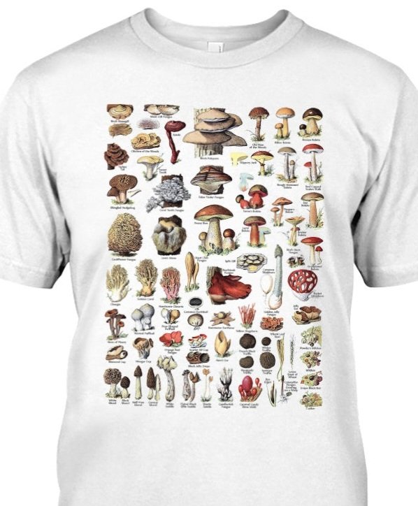 CoffinCotton's tweet photo. Mushroom Friends Shirt! Show everyone you're a fun guy! Starting at $15.99

https://t.co/ZPR5mG3Yyd 

#mushroom #mushrooms #fungi https://t.co/WL6jD7BamW