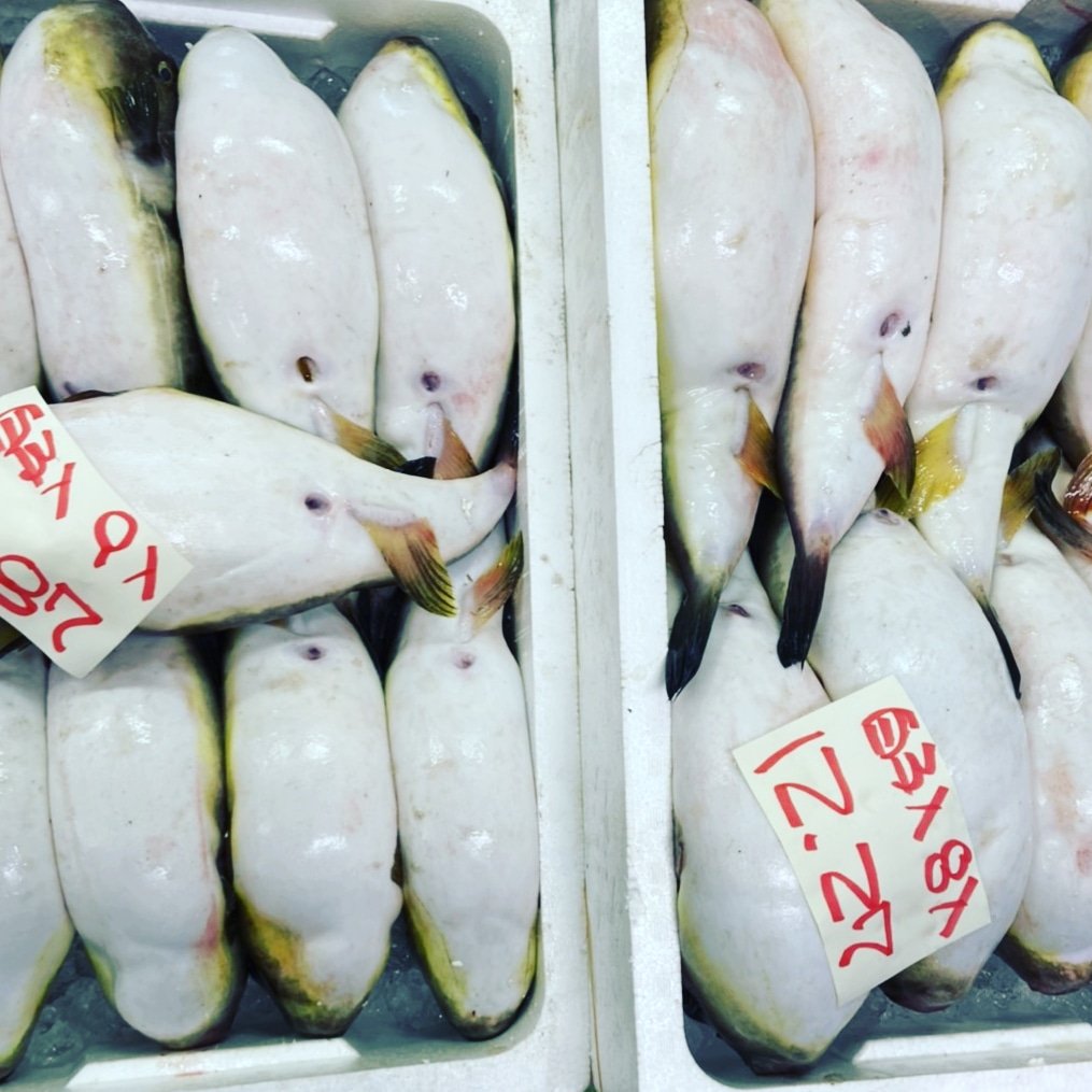 山陰浜田港 渡辺鮮魚店 Watanabesengyo Twitter