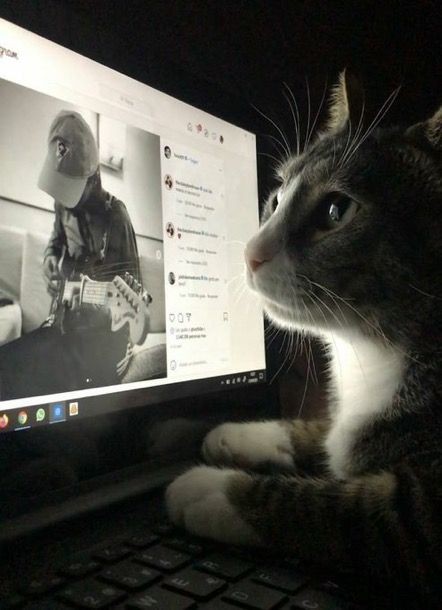 lhtzstt's tweet photo. I vote #Louies for #BestFanArmy at the #iHeartAwards
Yo soy el gatito
Treinta https://t.co/bXZWf3fmAU