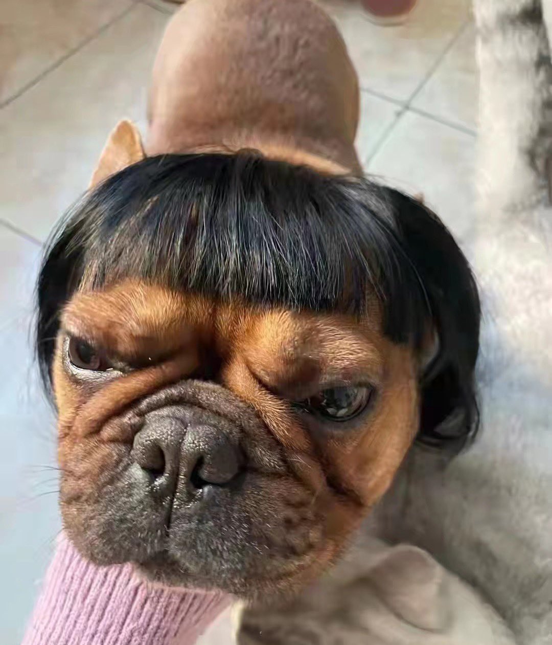 亚军&王歪嘴on Twitter: "又惹胡锡进老师生气了…… https://t.co/L7RkdmZKBC" / Twitter