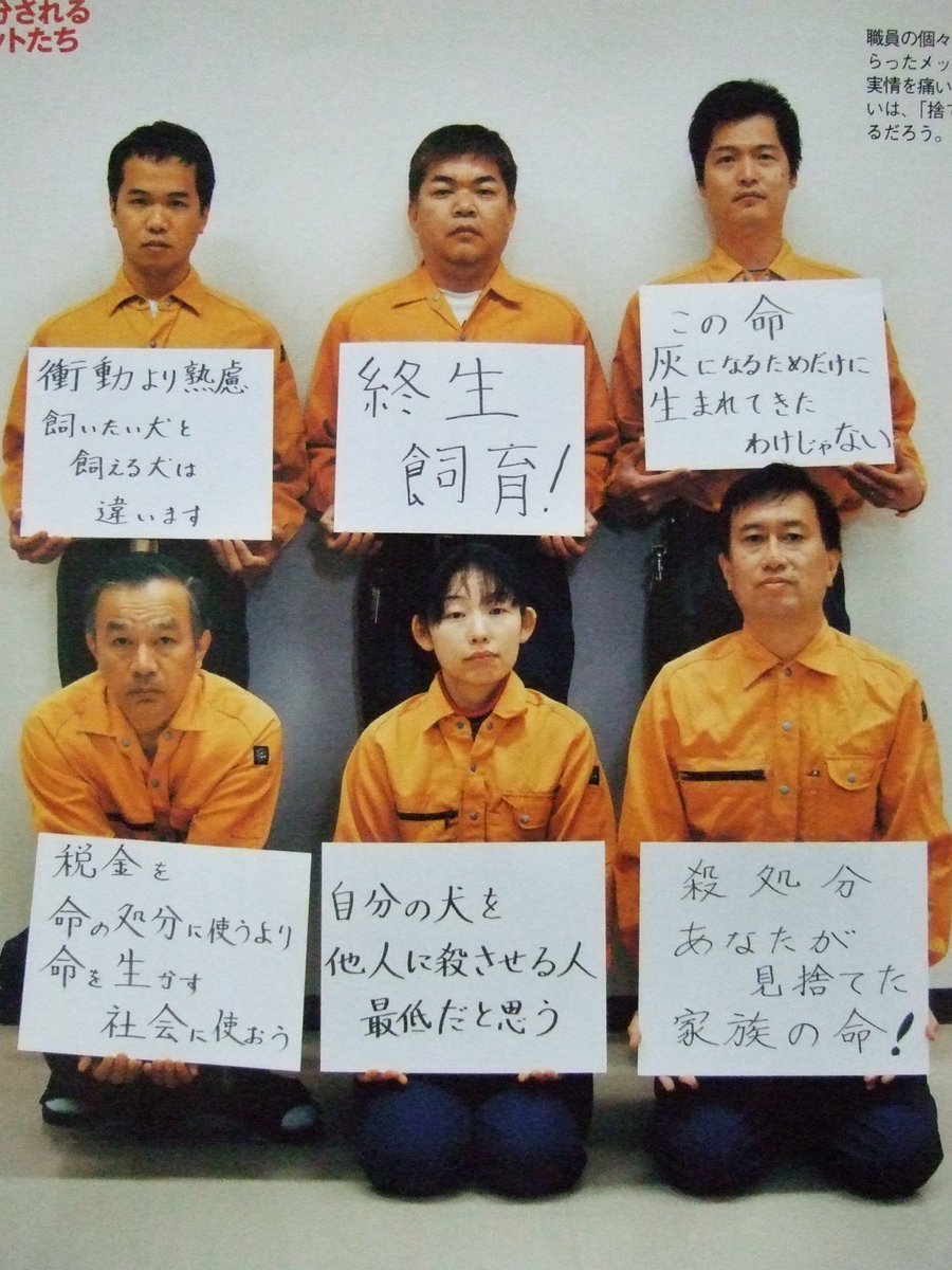しあさって tweet media