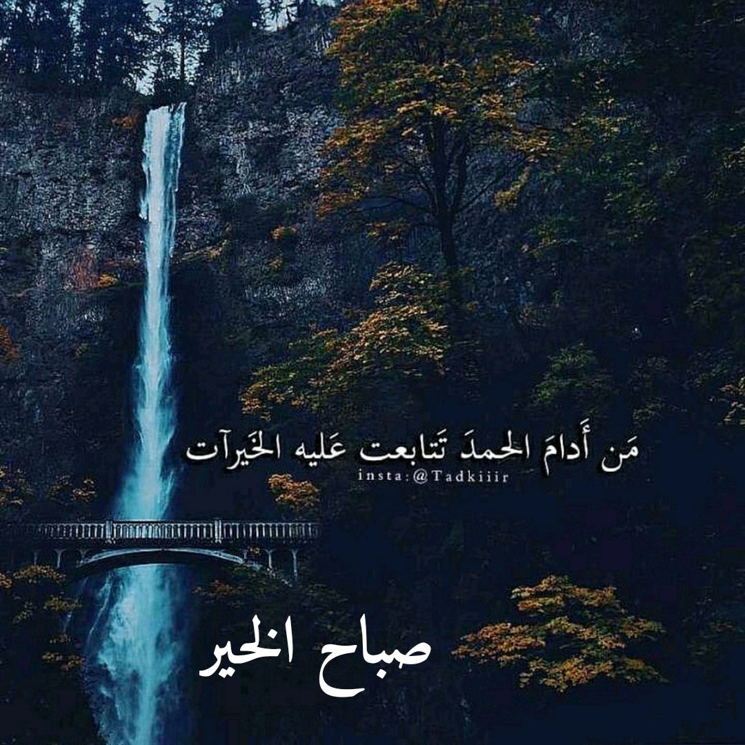 عادل tweet media