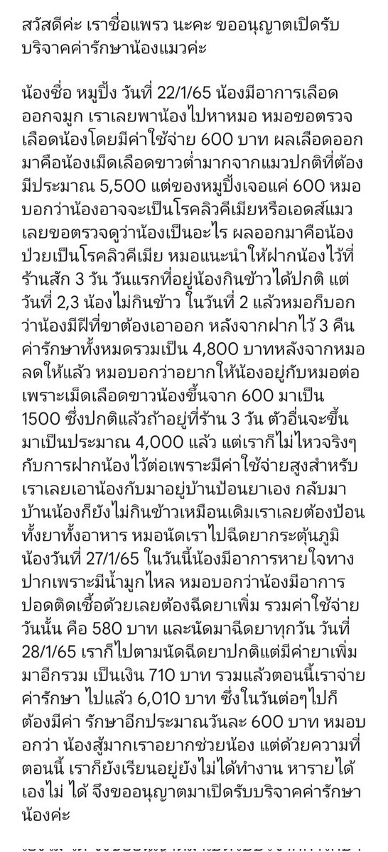 Ppraew2907's tweet photo. ขออนุญาตเปิดรับบริจาคค่ะ น้องชื่อ หมูปิ้ง น้องเป็นลิวคีเมีย บวกกับปอดติดเชื้อตอนนี้ค่ะ ฝากเมตตาน้องด้วยค่ะ
#ช่วยแมว #ทวิตดีคนรีน้อย #ทาสแมว
#น้องแมว https://t.co/jd1wcMTh5A