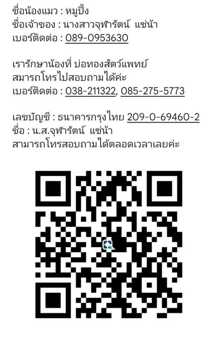 Ppraew2907's tweet photo. ขออนุญาตเปิดรับบริจาคค่ะ น้องชื่อ หมูปิ้ง น้องเป็นลิวคีเมีย บวกกับปอดติดเชื้อตอนนี้ค่ะ ฝากเมตตาน้องด้วยค่ะ
#ช่วยแมว #ทวิตดีคนรีน้อย #ทาสแมว
#น้องแมว https://t.co/jd1wcMTh5A