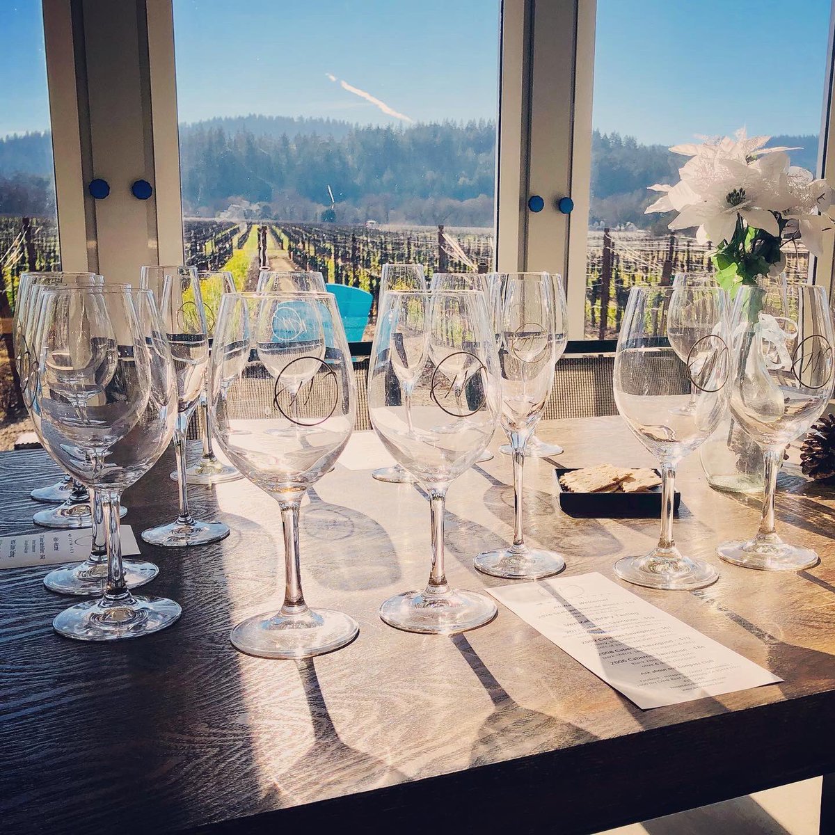 WestWines's tweet photo. Mahalo to this fun group from Hawaii. 🌺 Winemaker Katarina enjoyed sharing her wines with you! 🍷

#westwines #aloha #meetthewinemaker #cabarnetsauvignon #drycreekvalley #sipsonoma #wineroad #winepairedwithlife #sonomacounty #winterincalifornia #lifeopensup #winetasting https://t.co/5WwZfVNlvq