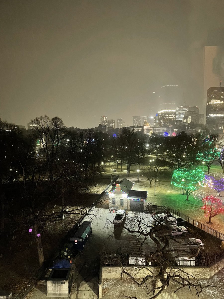 liv 🫶 tweet media